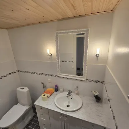 Villa Revontulet Zh View Vipvilla Mikkeli